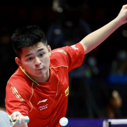 不仅丰富了 不仅丰富了